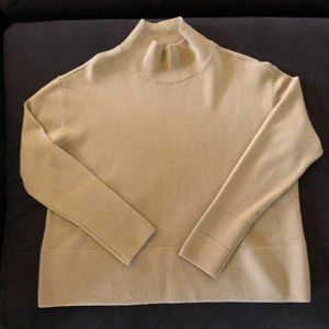 Everlane Cashmere Square Turtleneck S